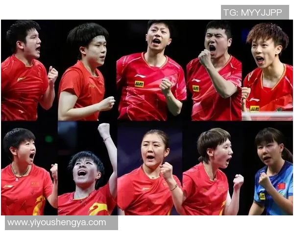 南京乒乓球队的力量与精神探讨聚焦乒乓球的未来发展与挑战