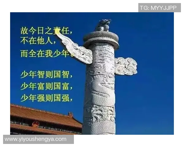 南京排球队的辉煌征程与冠军赛背后的奋斗故事