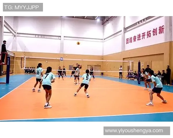 成都排球队的奋进之路：一段排球精神与团队合作的真实纪实